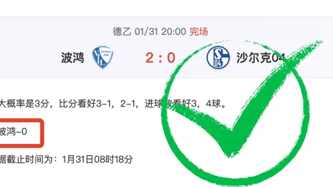 多特蒙德主场逆转战胜法兰克福