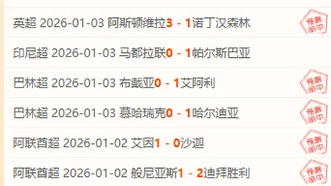 谢什科本赛季英超替补进球数领先，无人匹敌